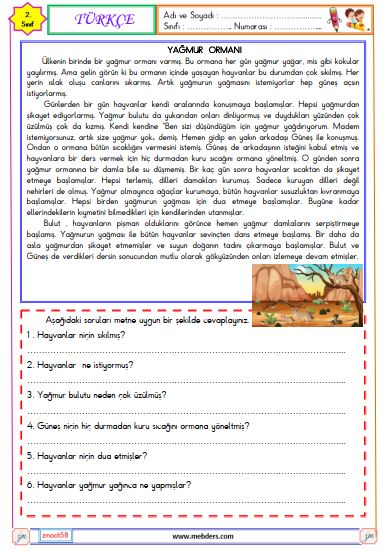 2. Sınıf Türkçe Okuma ve Anlama Metni Etkinliği (Yağmur Ormanı)